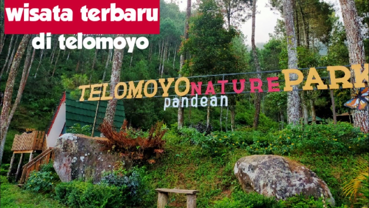 Telomoyo Nature Park: Petualangan Alam di Lereng Merapi